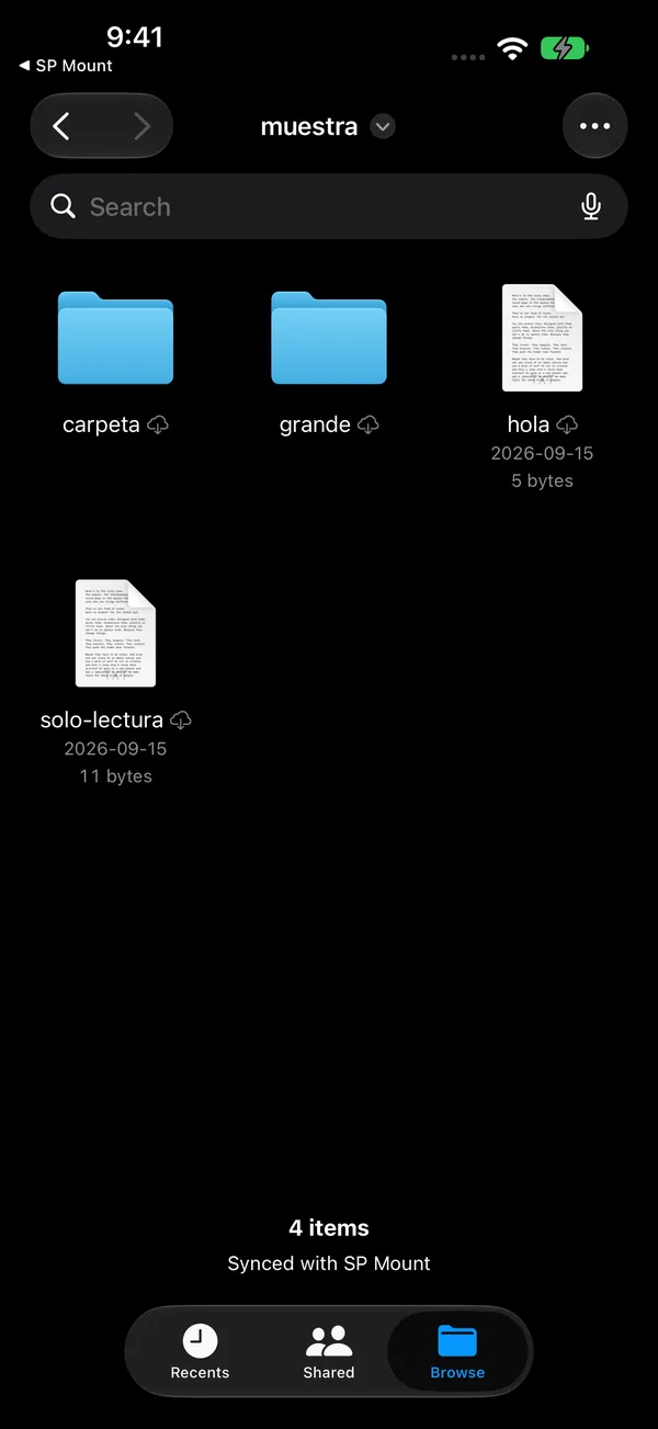 The same server in the Files app on iPhone